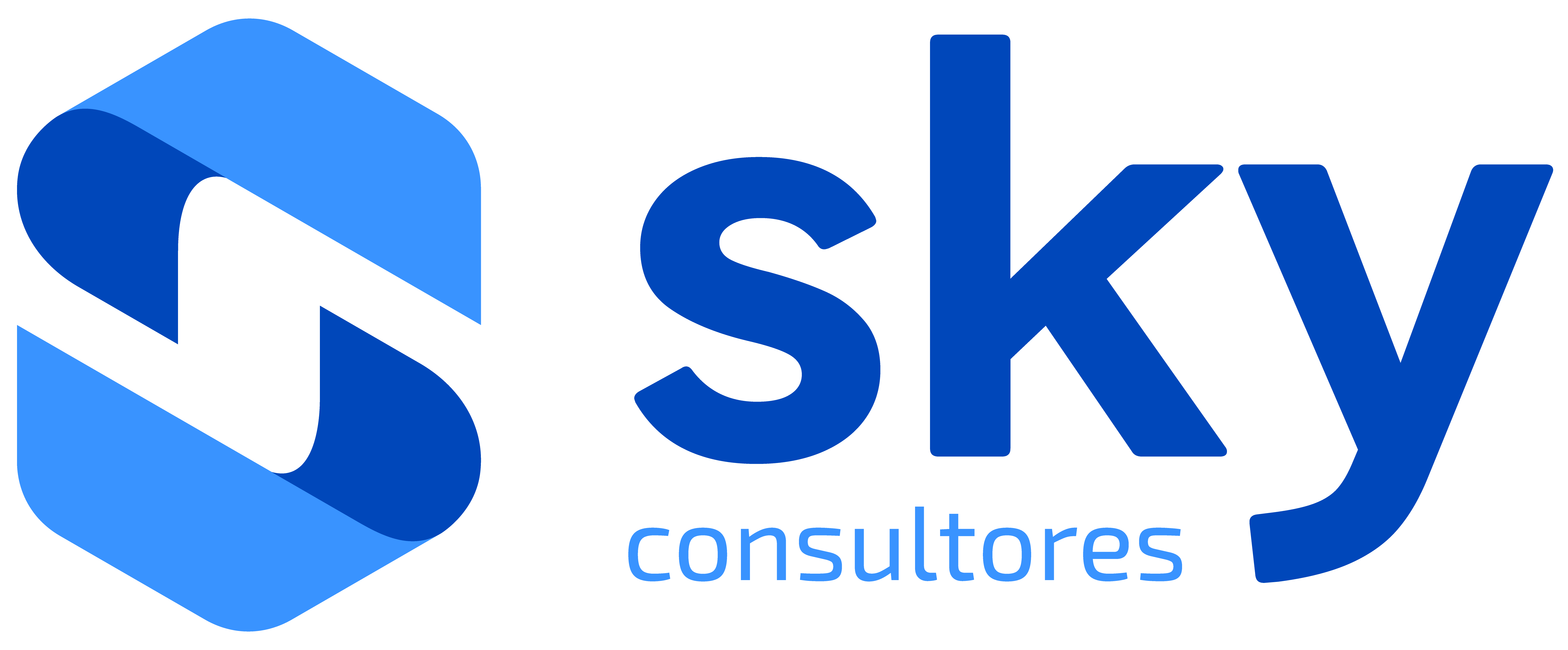 Logo Sky Consultores